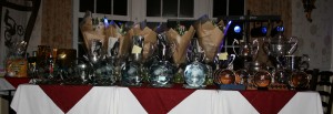 The Trophies and Awards